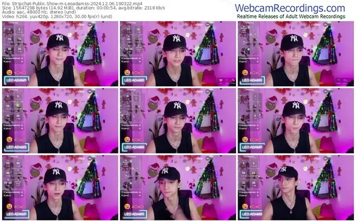 stripchat-leoadamss-12-06-2024-19-03-22