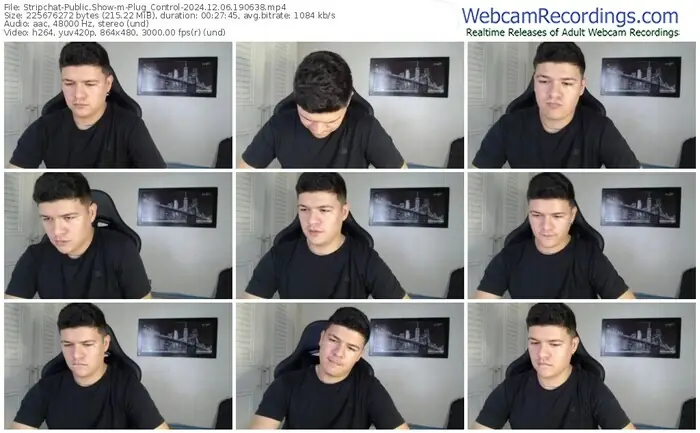 stripchat-plug_control-12-06-2024-19-06-38