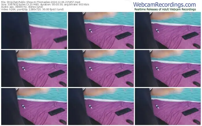 stripchat-thomaslee-12-06-2024-21-58-57