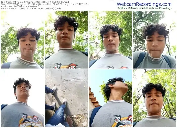 stripchat-_ottis_-12-06-2024-19-15-32