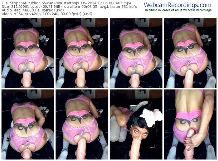 stripchat-venustattoopussy-12-06-2024-08-04-07