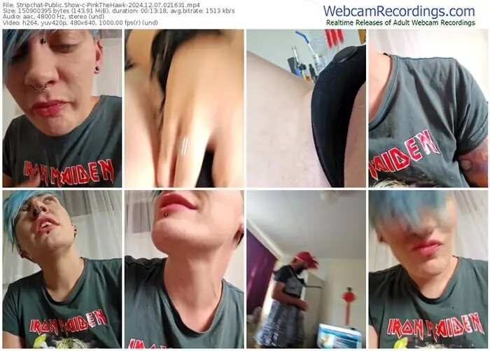 stripchat-pinkthehawk-12-07-2024-02-16-31