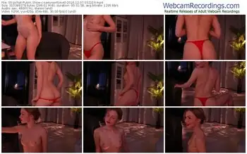 stripchat-seeunexttime0-12-07-2024-03-22-19