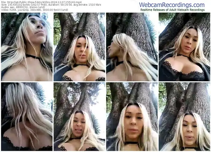 stripchat-amywillss-12-07-2024-15-51-42
