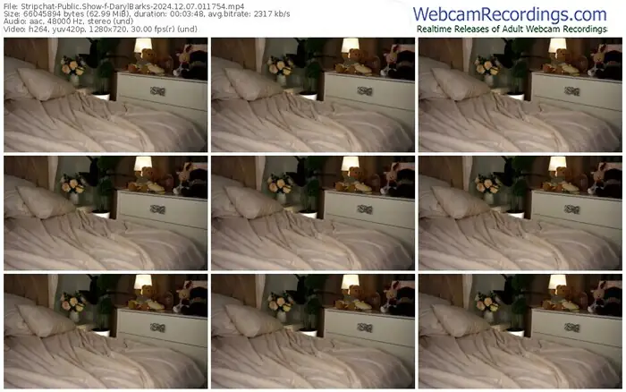 stripchat-darylbarks-12-07-2024-01-17-54