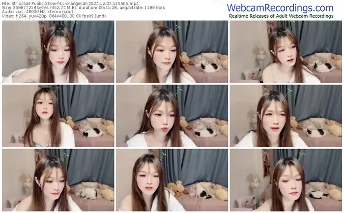 stripchat-ll-orangecat-12-07-2024-11-56-05