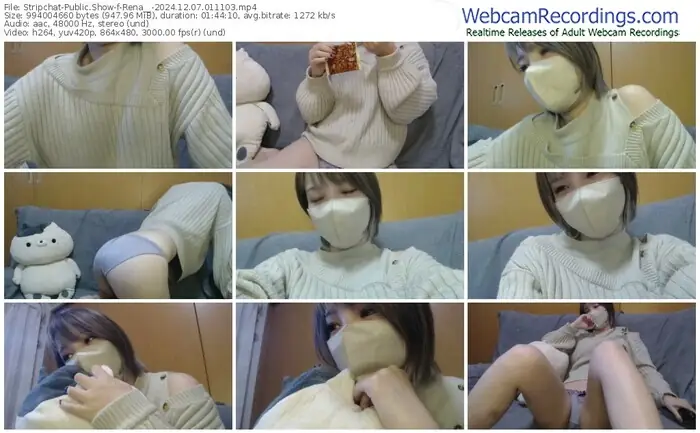 stripchat-rena__-12-07-2024-01-11-03