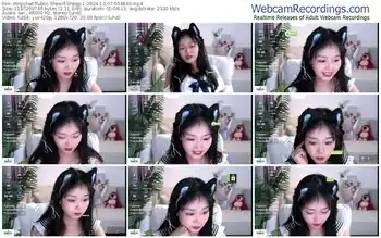 stripchat-sheep-1-12-07-2024-00-48-40