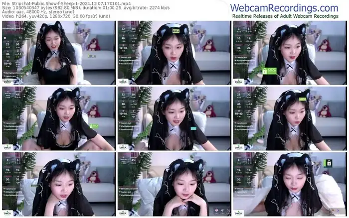 stripchat-sheep-1-12-07-2024-17-01-01