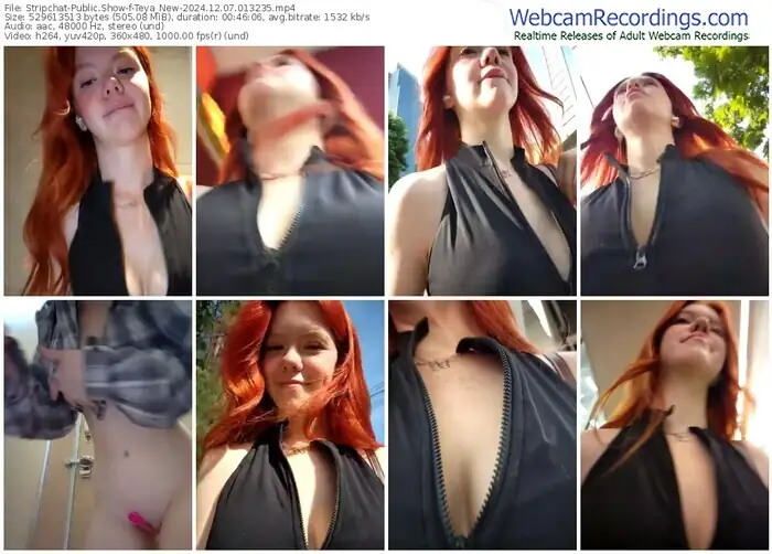 stripchat-teya_new-12-07-2024-01-32-35