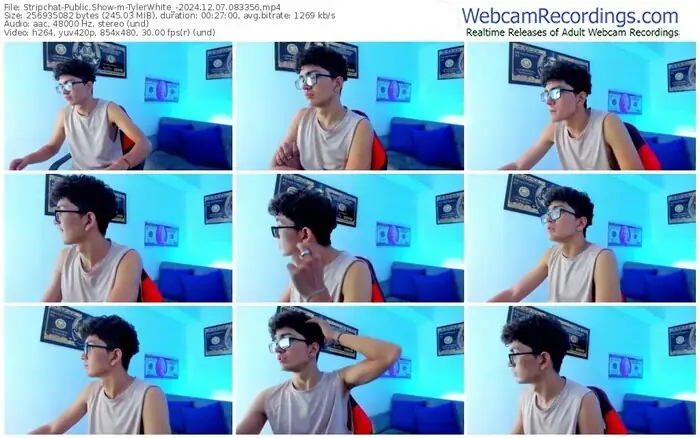 stripchat-tylerwhite_-12-07-2024-08-33-56