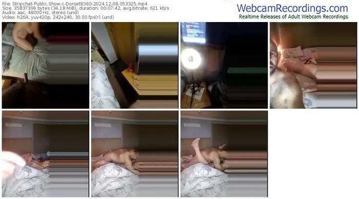 stripchat-dorset8360-12-08-2024-05-33-25