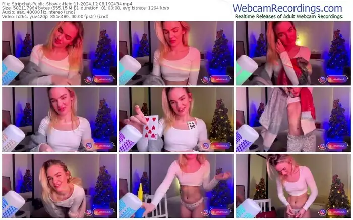 stripchat-heidi11-12-08-2024-19-24-34