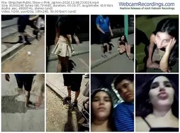 stripchat-pink_jazmin-12-08-2024-23-30-24