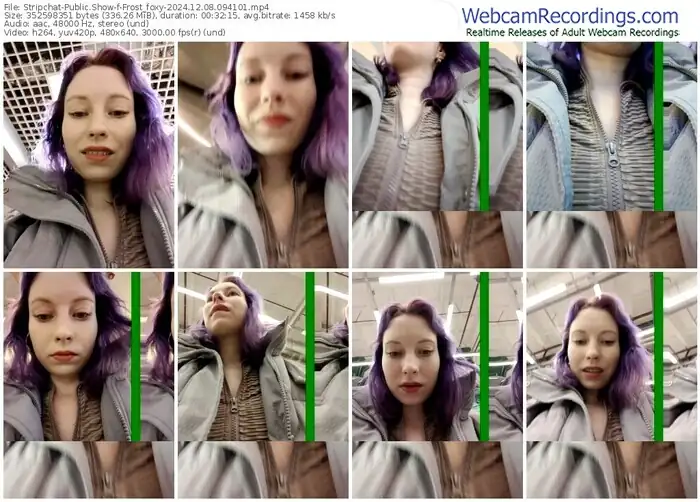 stripchat-frost_foxy-12-08-2024-09-41-01