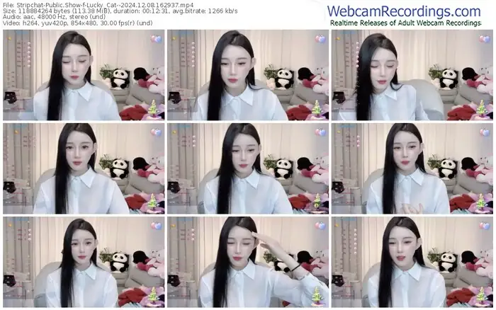 stripchat-lucky_cat--12-08-2024-16-29-37