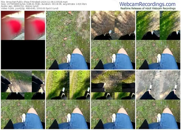 stripchat-mirabell-12-08-2024-11-55-18