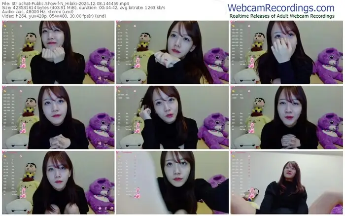 stripchat-n_hibiki-12-08-2024-14-44-59