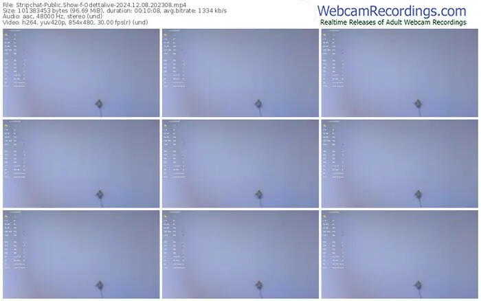 stripchat-odettalive-12-08-2024-20-23-08