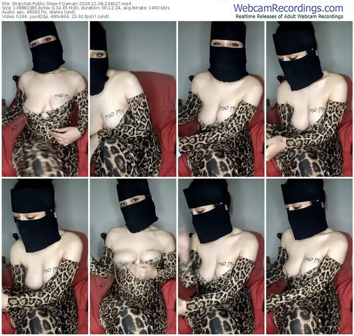 stripchat-qamarr-12-08-2024-23-46-27
