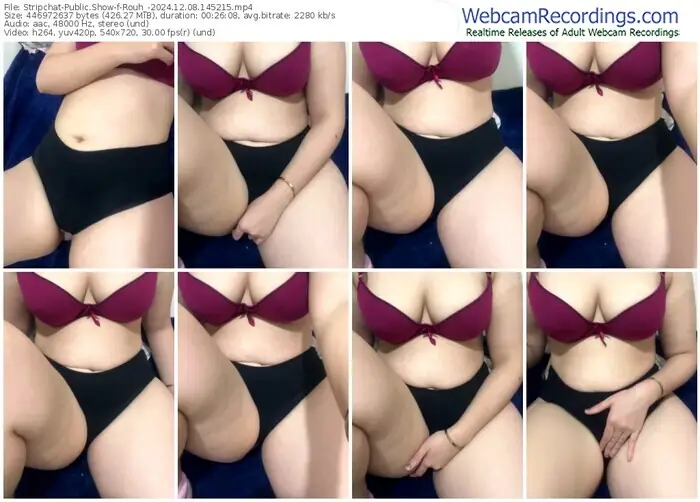 stripchat-rouh_-12-08-2024-14-52-15