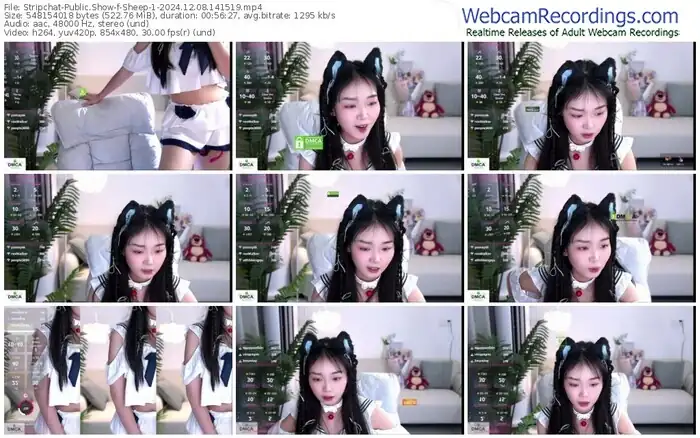 stripchat-sheep-1-12-08-2024-14-15-19