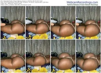 stripchat-ebony_teaserxx-12-08-2024-21-22-47