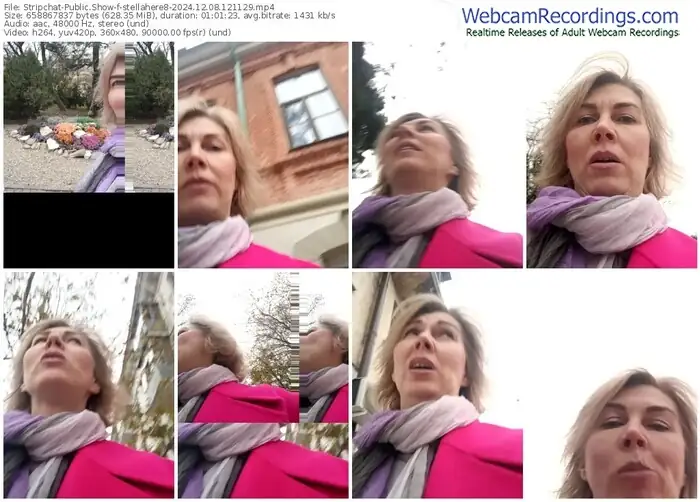 stripchat-stellahere8-12-08-2024-12-11-29