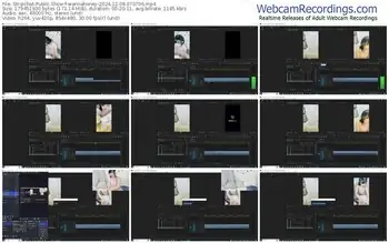 stripchat-wannahoney-12-08-2024-07-07-06