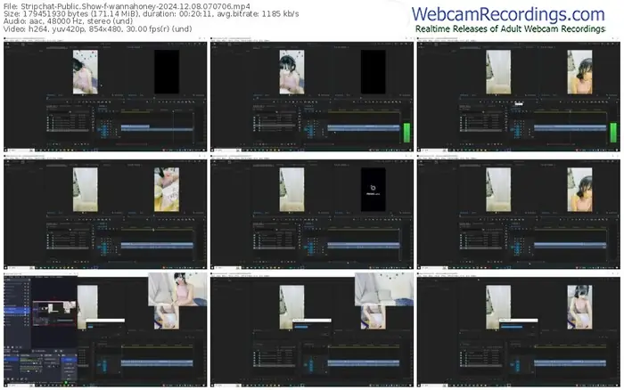 stripchat-wannahoney-12-08-2024-07-07-06