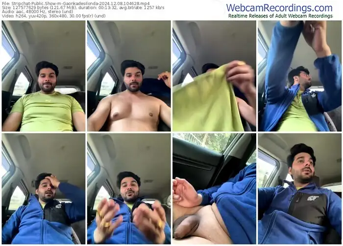 stripchat-gaonkadesilonda-12-08-2024-10-46-28