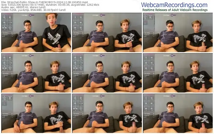 stripchat-theskyboys-12-08-2024-19-04-52