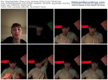 stripchat-vixi_wichsen-12-08-2024-17-36-49