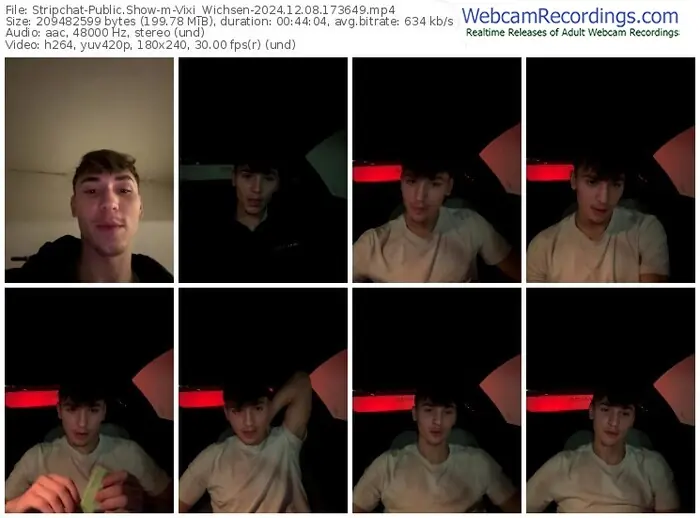 stripchat-vixi_wichsen-12-08-2024-17-36-49