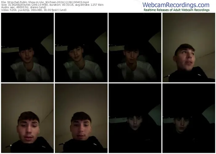 stripchat-vixi_wichsen-12-08-2024-19-04-03