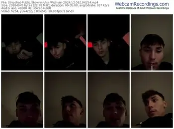 stripchat-vixi_wichsen-12-08-2024-19-41-54