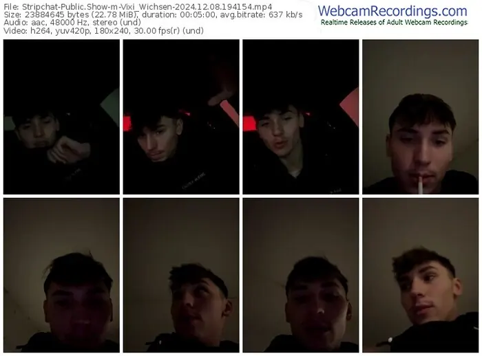 stripchat-vixi_wichsen-12-08-2024-19-41-54