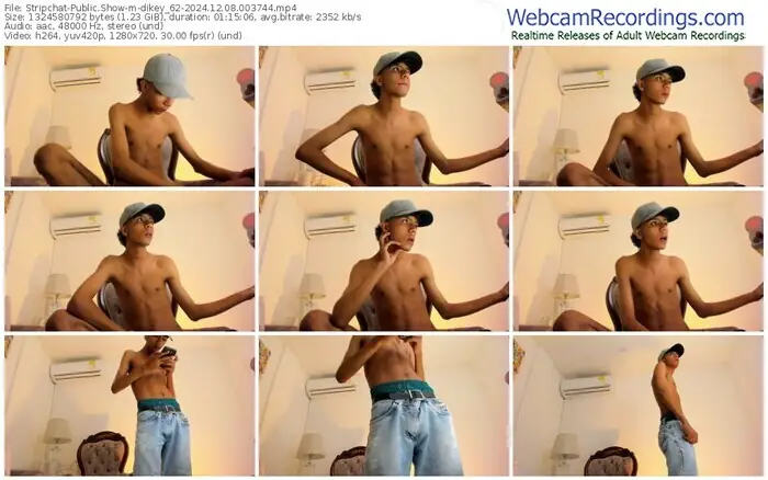 stripchat-dikey_62-12-08-2024-00-37-44