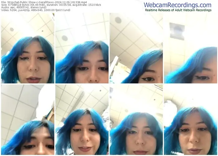 stripchat-gerallfoxxx-12-09-2024-16-13-38