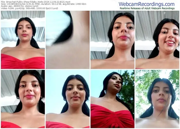 stripchat-baby_niels-12-09-2024-21-40-21