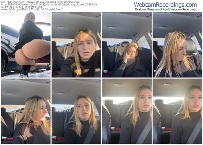 stripchat-stasywood-12-09-2024-06-24-51