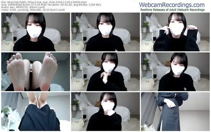 stripchat-mei_mei_chan-12-09-2024-13-34-09