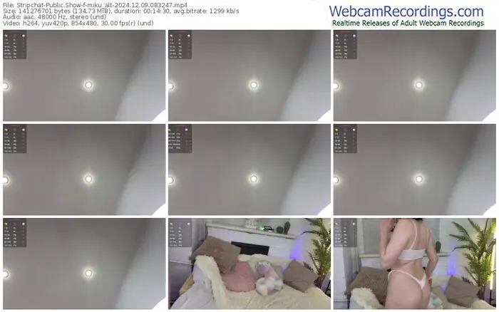 stripchat-miku_alt-12-09-2024-08-32-47