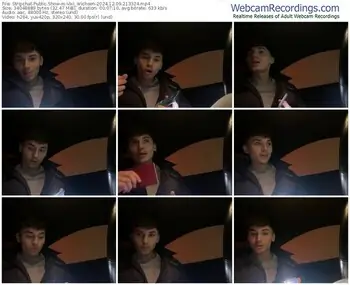 stripchat-vixi_wichsen-12-09-2024-21-33-24