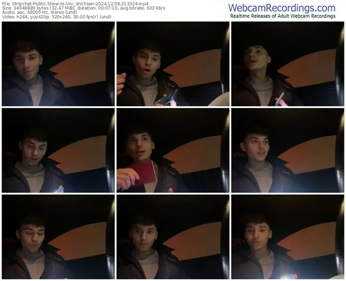 stripchat-vixi_wichsen-12-09-2024-21-33-24