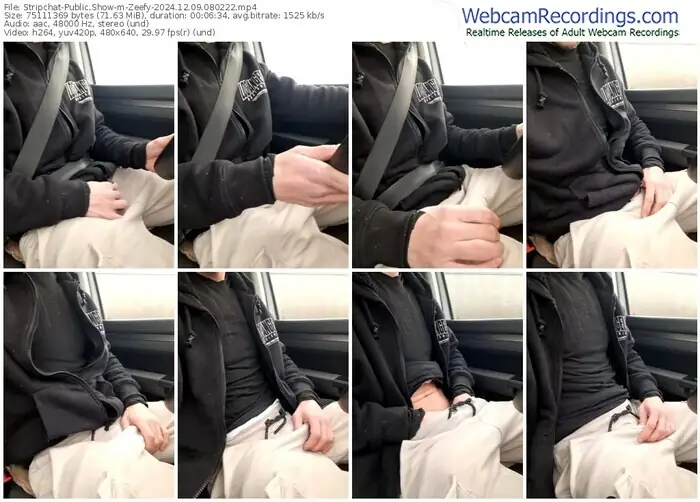 stripchat-zeefy-12-09-2024-08-02-22