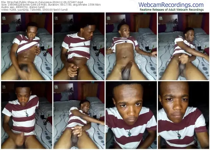 stripchat-zuluceeya-12-09-2024-21-54-07