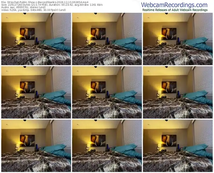stripchat-bwcjoshbanks-12-10-2024-06-26-54