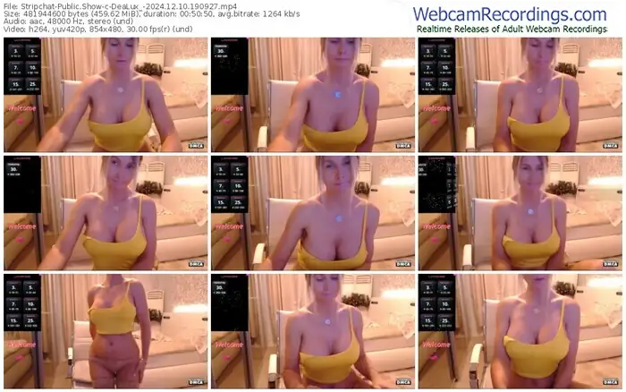 stripchat-dealux_-12-10-2024-19-09-27