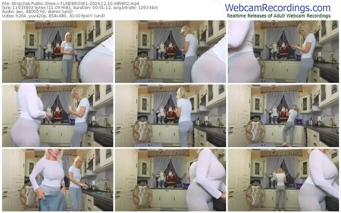 stripchat-tunderose1-12-10-2024-08-58-02